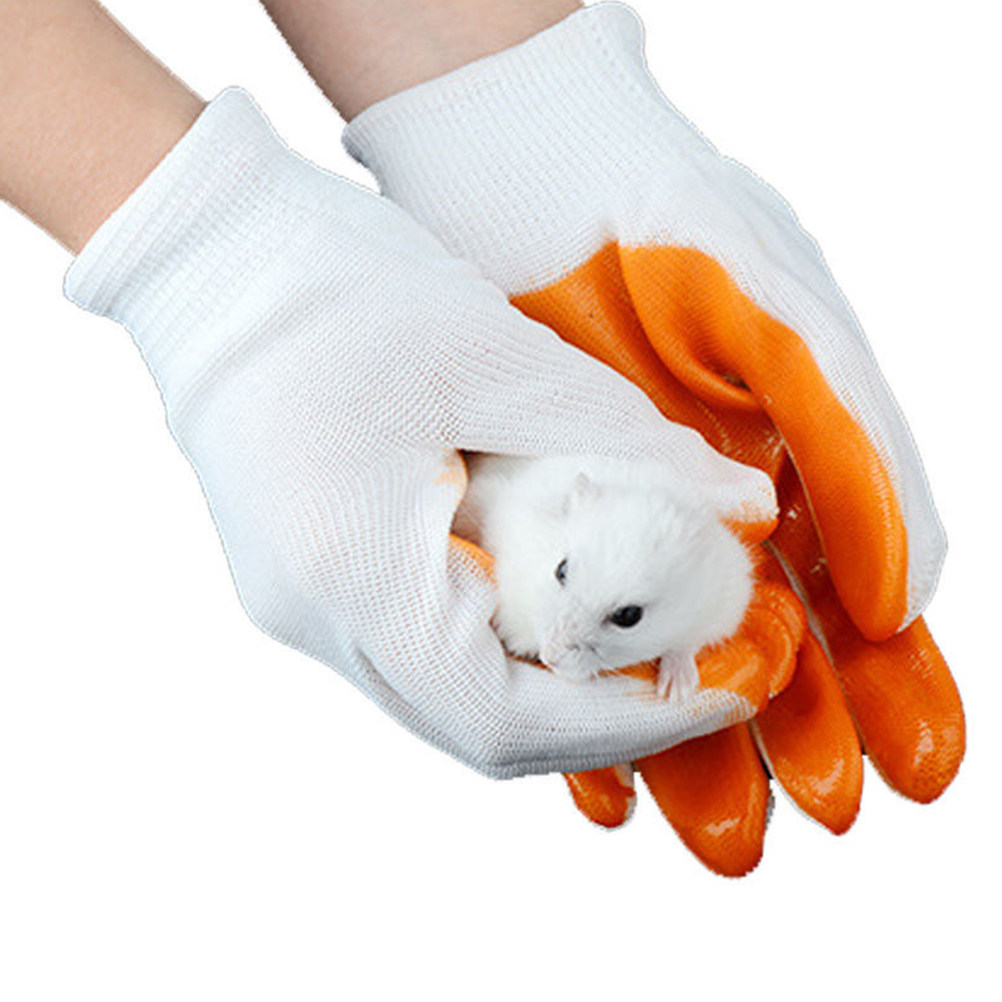 1 Çift Hayvan Koruma Eldiveni, - Cut Resistant Glove incelemesi ve fiyatı